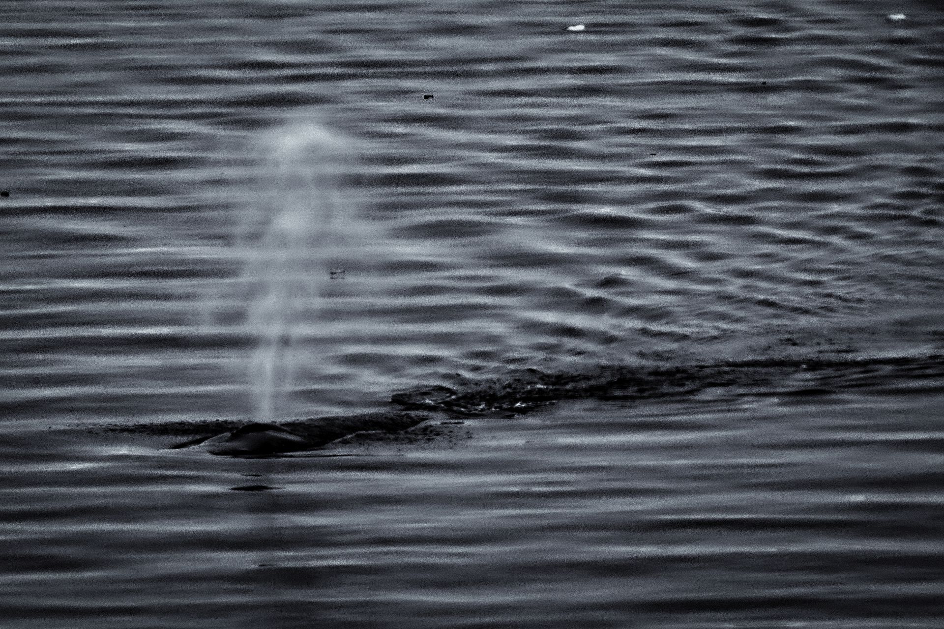 Meeting Photo Slide Show